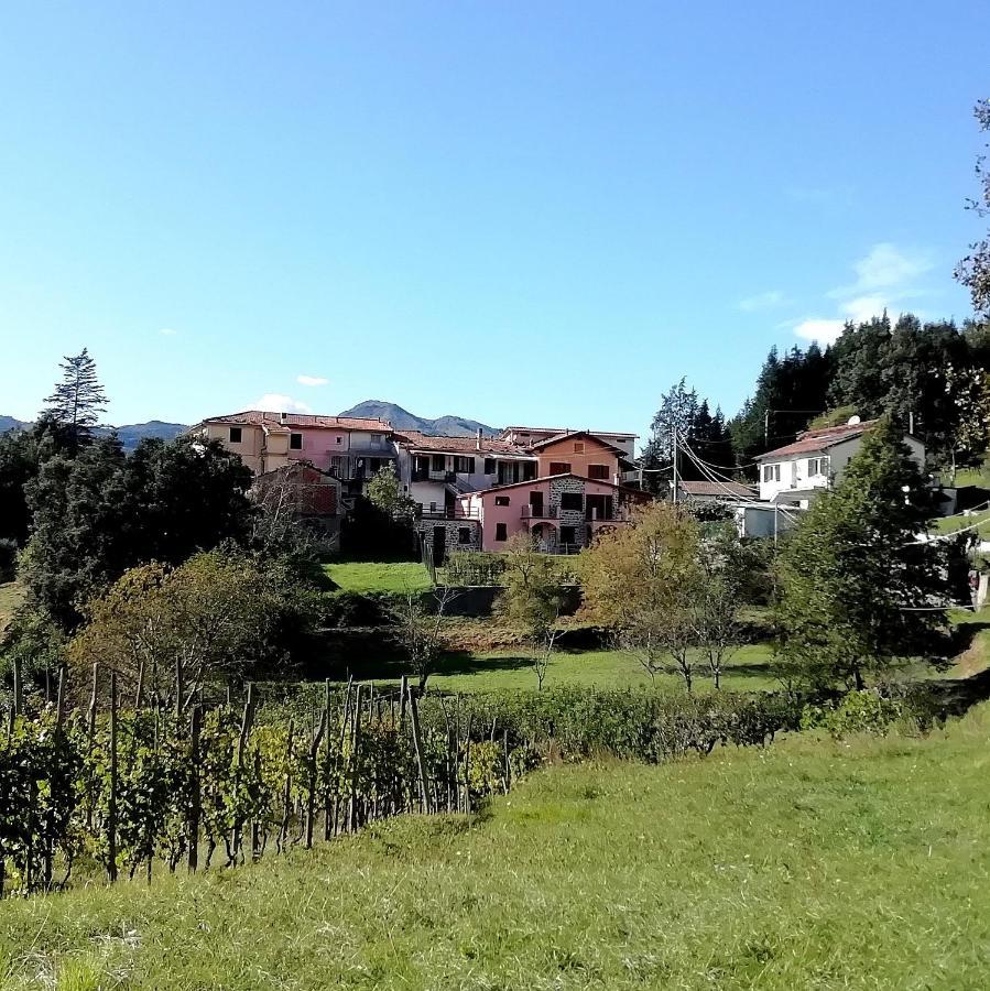 Lissahouse Agriturismo San Pietro Vara المظهر الخارجي الصورة