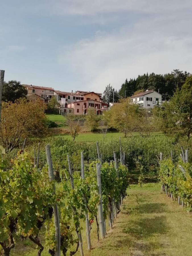 Lissahouse Agriturismo San Pietro Vara المظهر الخارجي الصورة
